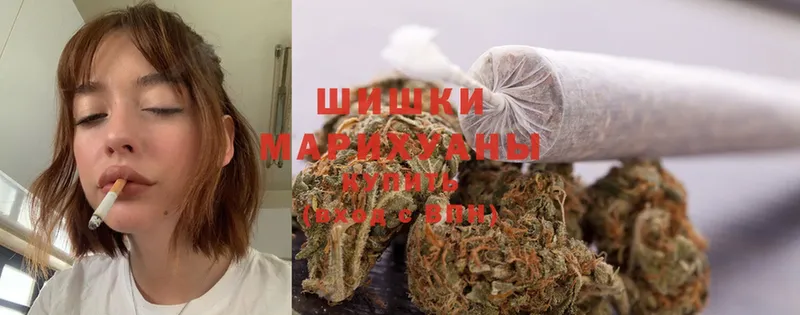 Марихуана SATIVA & INDICA  Рославль 